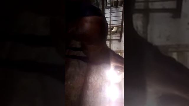 Орловский рысак смотреть онлайн