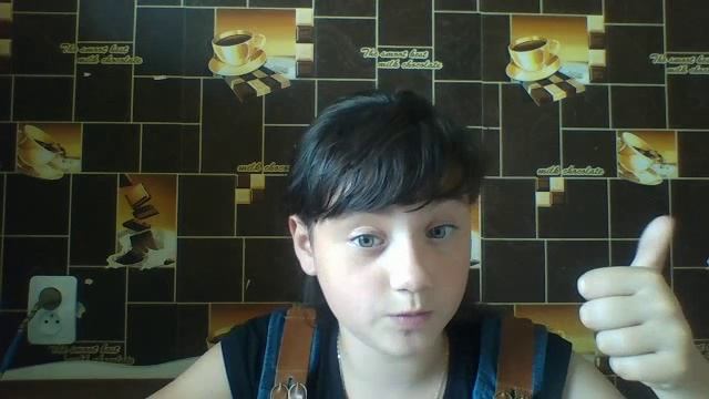 Копия видео Видео C веб-камеры от  7 июня 2015 г., 10:08 (UTC)