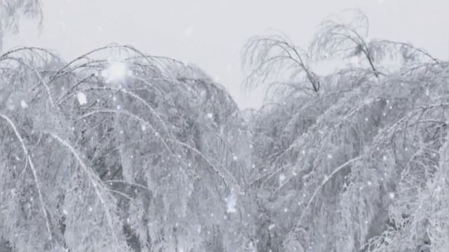 Новогодняя метель, новогодняя песня со словами, шоу-группа "Киндер Сюрприз" смотреть онлайн