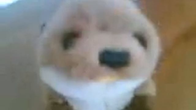 Supermoose 2nd episode смотреть онлайн