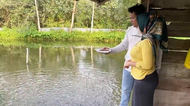 CEWEK CANTIK DARI KOTA NIAT MENUNTUT ILMU MALAH HAMPIR DIGASAK BANG RAHMAT DI GUBUK REOT KOLAM IKAN смотреть онлайн