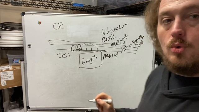 Growing mushrooms in tubs: o2, co2, long stems and maximizing pinsets смотреть онлайн