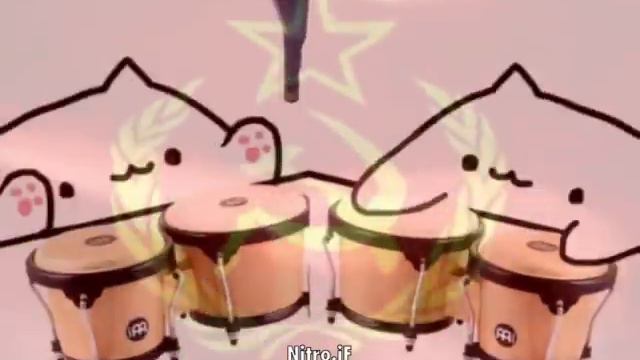 Slavic Bongo cat смотреть онлайн