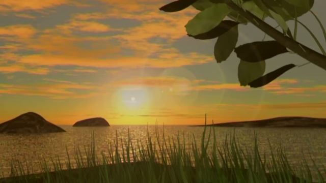 Свадебные футажи в Full HD качестве. смотреть онлайн