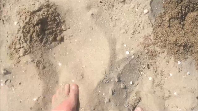 #ПЛЯЖНЫЙ #КОП АЗОВСКОЕ МОРЕ 2019 #ЗОЛОТО c #XP #ORX смотреть онлайн