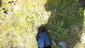 ПОКРАСКА АВТО в КСЕРАЛИК! На примере двери BMW e46 3-series.