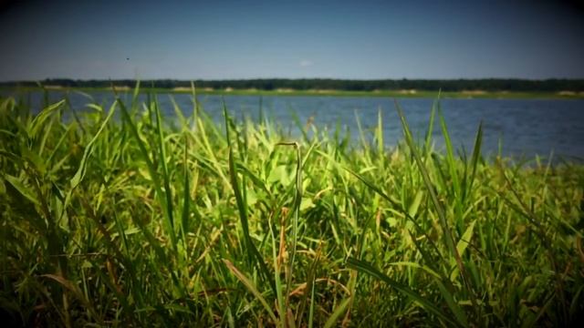 Ambient Guitar Sketch #1 смотреть онлайн