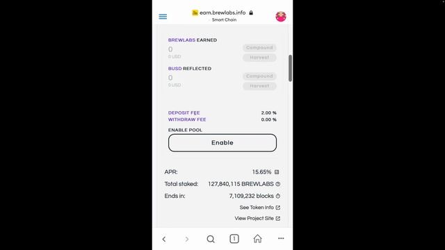 Brewlabs How To: Set Up Your MetaMask Wallet With BSC And Brewlabs смотреть онлайн