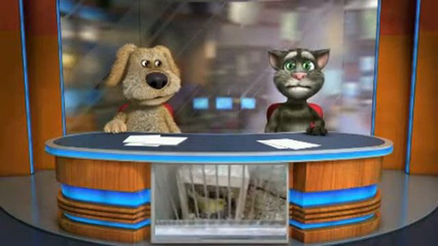 tom en ben is baas #2 vogel смотреть онлайн