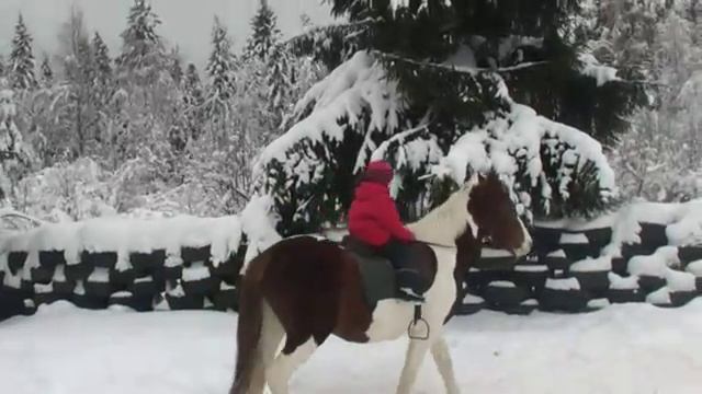 учимся ездить на лошади смотреть онлайн
