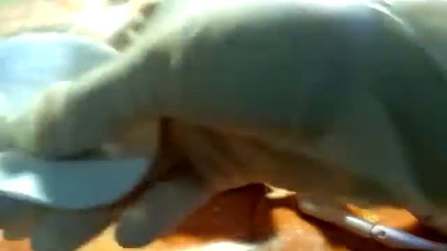 Как снять макияж кукле смотреть онлайн