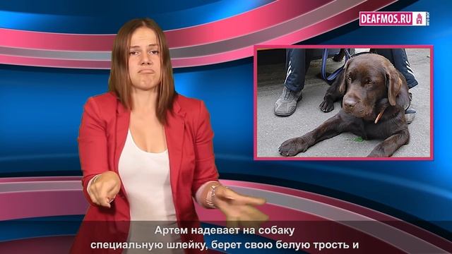 МИР ГЛУХИХ: Собака для Артема смотреть онлайн