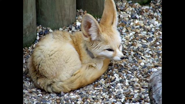 мне очень понравилось это видео саветую посмотреть