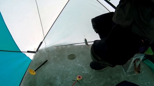 Рыбалка на Осколе 2021. Комфортный куб смотреть онлайн