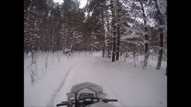 Brp Summit In the snowy forest // Покатушки на снегоходе в зимнем лесочке смотреть онлайн