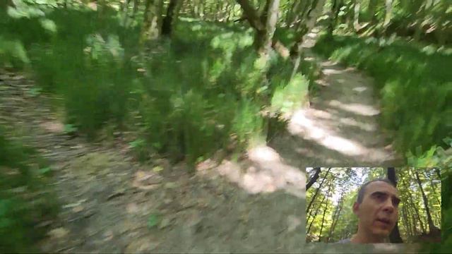 Масло, как не купить подделку. смотреть онлайн