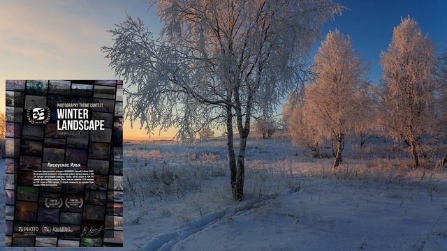 Видеоэкскурсия И. Лисаускас. Путь фотографа смотреть онлайн