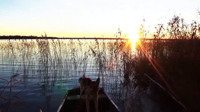 Как поймать, диких раков на Селигере- перед ледоставом. смотреть онлайн