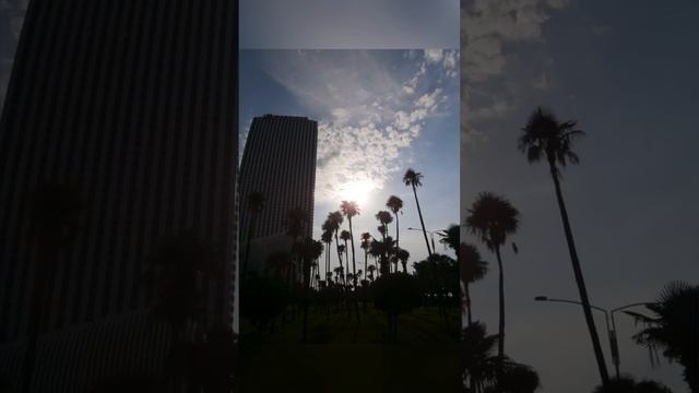 Тестировали цифровик #olympusvg170 #olympusdigital #digitalcamera #цифроваякамера #камерамыльница смотреть онлайн