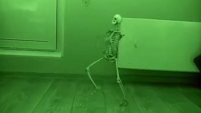 Я соснял скелета под ночную камеру смотреть онлайн