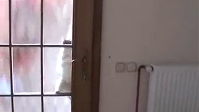 Дверь для кошки смотреть онлайн