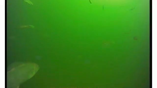 Рыбы и Люди.На льду и под ним. Хариус весенний. смотреть онлайн