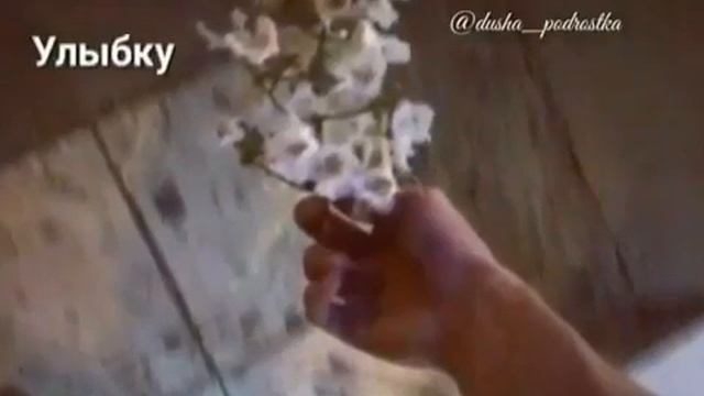 Рай находится под ногами матерей☝ смотреть онлайн