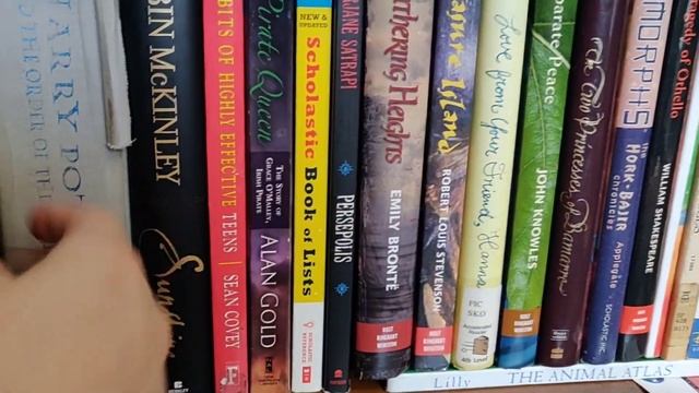 ASMR Bookshelf Scratching & Book Spine Scratching? | Book Scratching & Book Tapping ASMR (REQUEST) смотреть онлайн