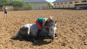 Верховая езда на лошади без седла и уздечки.