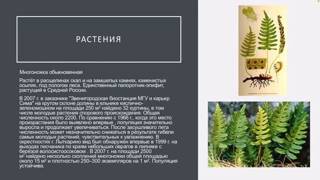 Исследовательская работа "Красная книга Подмосковья" смотреть онлайн