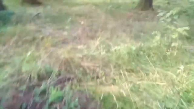 Пошли опять в лес Грач но вытоги ничего не нашли смотреть онлайн