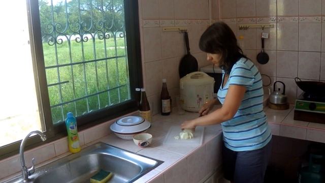 Простенько! Рецепт Свининка в устричном соусе с рисом. Thai Pork