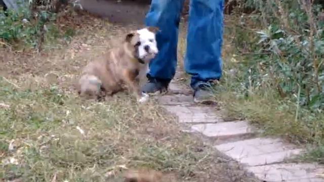 Лав Лап Топ Тучка. смотреть онлайн