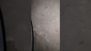 Замена фар Volkswagen Passat B4