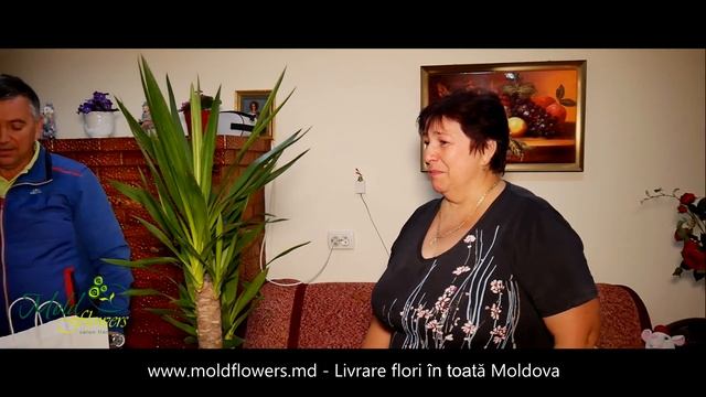 Livrare flori Stefan Voda satul Cioburciu. Livrare flori in raionul Stefan Voda. смотреть онлайн