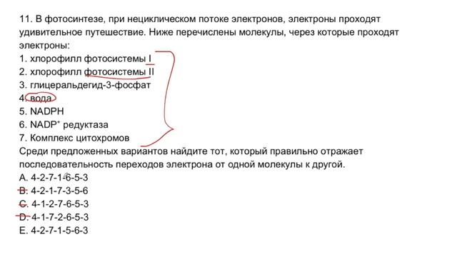 Разбор заданий Областной олимпиады по биологии 2020. Часть 1 (1 тур, вопросы 1-22) смотреть онлайн