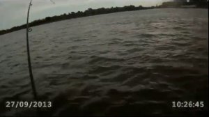 Ловля жереха. Будущее за стикбэйтами.Asp Fishing