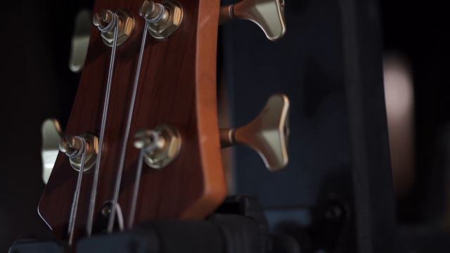 Schecter STILETTO STUDIO 4 FF смотреть онлайн