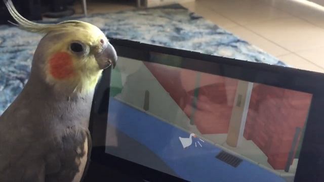 Birb Reacts To Untitled Goose Game смотреть онлайн