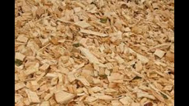 Что нужно делать для того чтобы черепаха была здорова? смотреть онлайн