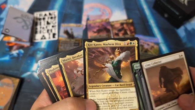 【MTG】猫と犬だらけ！Secret Lair: Raining Cats and Dogs開封！【もふもふ】 смотреть онлайн