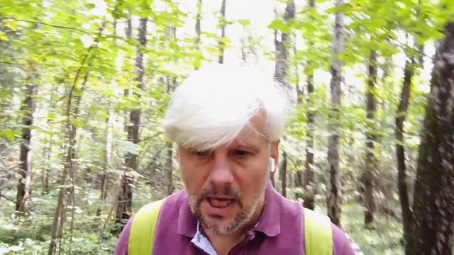 Руководитель-Взрослый, тот кто не выгорает и эффективно управляет. #руководитель #менеджмент смотреть онлайн