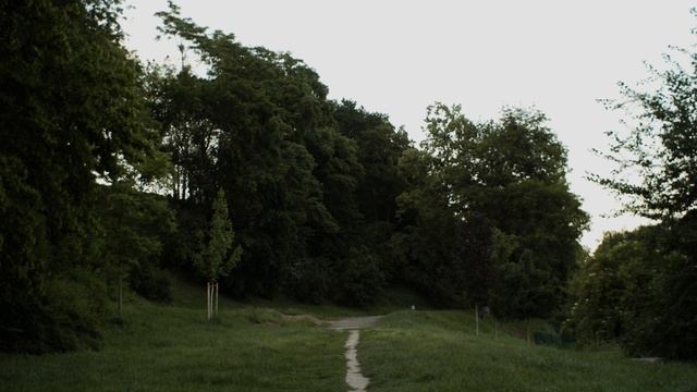 Kassel | Blackmagic Pocket Cinema Camera 4K with Super Takumar 28mm f3.5 смотреть онлайн