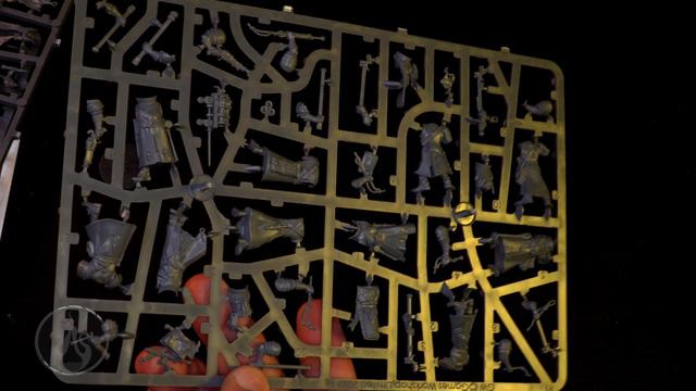 Unboxing Freeguild Fusilliers Cities of Sigmar Warhammer Age of Sigmar #tabletopgaming смотреть онлайн