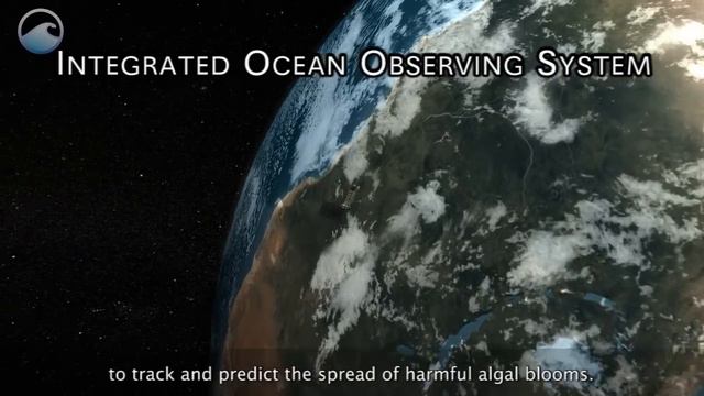 Predicting Harmful Algal Blooms смотреть онлайн