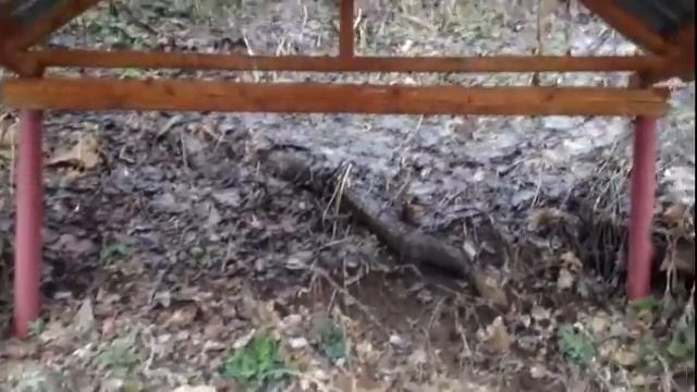 Родник в селе Сколково смотреть онлайн