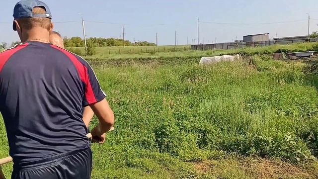 Установили эл.пастух. Помощь новичкам. смотреть онлайн