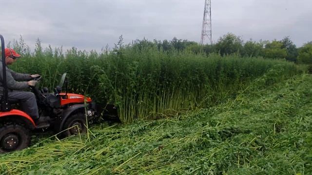 Белорус МТЗ 152 (Приключение маленького трактора) смотреть онлайн