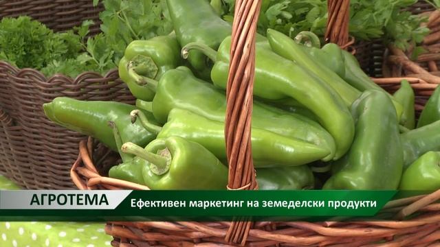 Агротема: Ефективен маркетинг на земеделски продукти, автор: Светлозара Димитрова смотреть онлайн