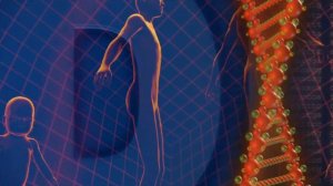 МАТРИЦА ГАРЯЕВА. УКРЕПЛЕНИЕ МУЖСКОГО ИМУННИТЕТА